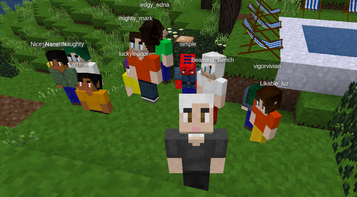 Ein Selfie in Minetest mit vielen Spielenden